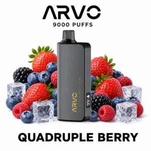 ARVO 9000 - Quadruple Berry (9,000 Puffs)