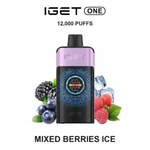 IGET ONE - Mixed Berries Ice (12,000 Puffs)