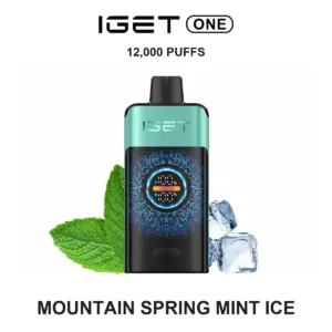 IGET ONE - Mountain Spring Mint Ice (12,000 Puffs)