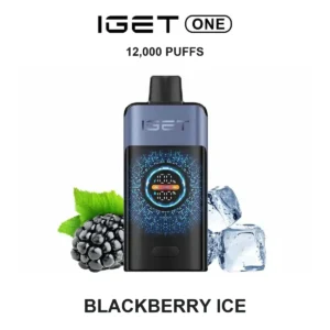 IGET ONE - Blackberry Ice (12,000 Puffs)