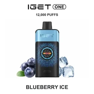 IGET ONE - Blueberry Ice (12,000 Puffs)