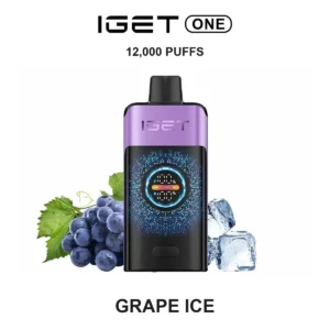 IGET ONE - Grape Ice (12,000 Puffs)