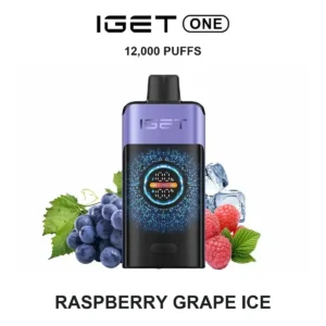 IGET ONE - Raspberry Grape Ice (12,000 Puffs)
