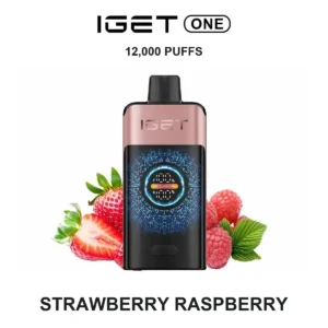 IGET ONE - Strawberry Raspberry (12,000 Puffs)