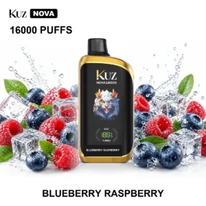 KUZ Nova - Blueberry Raspberry (16,000 Puffs)