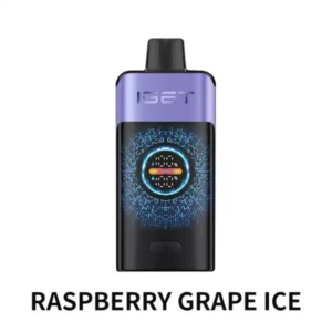 Raspberry Grape Ice — IGET ONE 12000