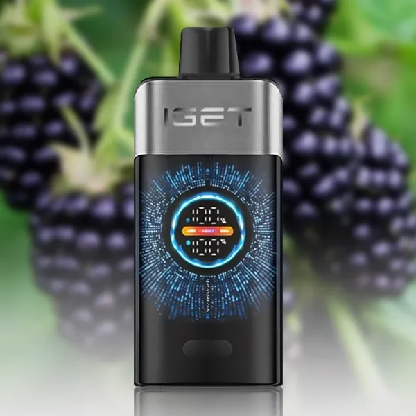 Blackberry Ice — IGET ONE 12000