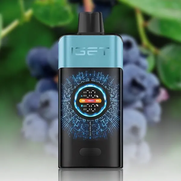 Blueberry Ice — IGET ONE 12000