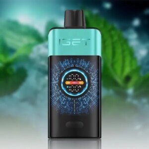 Mountain Spring Mint Ice — IGET ONE 12000